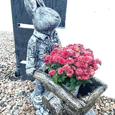 Nyaraló John The Mills Spahot Tub Private Donegal Town